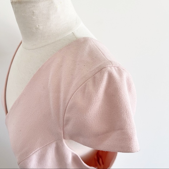 Dress the Population Pink Fit and Flare Dress LRG - Picture 10 of 13